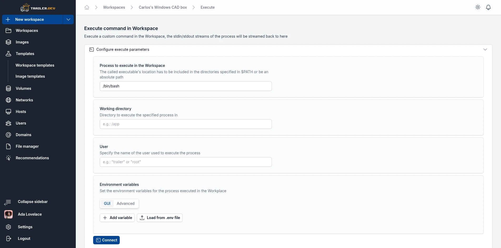 Workspace exec panel and terminal